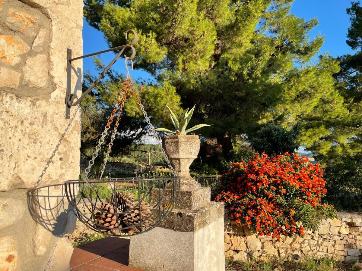 Appartement Novecento Country House à Vieste Extérieur photo