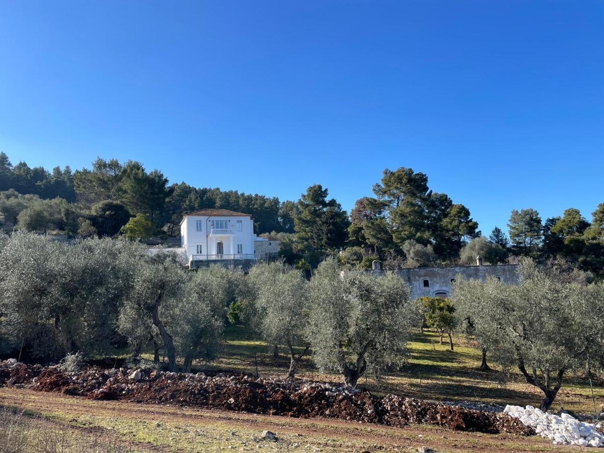 Appartement Novecento Country House à Vieste Extérieur photo